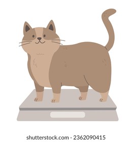 Overweight cat standing on scales. Obesity among pet animals, health checkup.