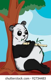 Overweight panda bear leans on tree eating bamboo leaves