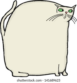Overweight white cat sitting on isolated background