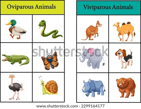 oviparous animals and viviparous animals