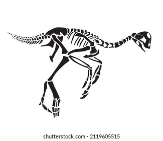 Oviraptor dinosaur skeleton silhouette isolated on white background. Vector illustration.