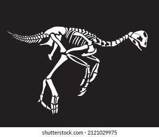 Oviraptor dinosaur skeleton silhouette isolated on black background. Vector illustration.