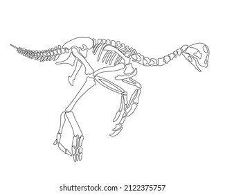 Oviraptor Dinosaur Skeleton Silhouette Isolated On Stock Vector ...