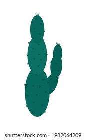 ovoid cactus icon on background