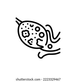 Ovulation black line icon. Fertilization.