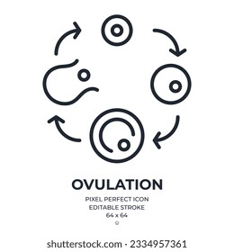 Ovulation process editable stroke outline icon isolated on white background flat vector illustration. Pixel perfect. 64 x 64.