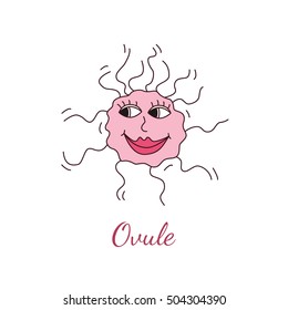 Ovule vector illustration. Handdrawn style, flat design. Female egg in a cartoon style. White background.