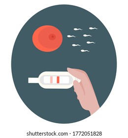 Ovum fertilization concept and conditionally positive pregnancy test in a human hand. For information banners, infographics on the topic of pregnancy, planning, sperm donation, in vitro fertilization.