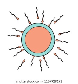 Ovum and spermatozoon isolated color icon, vector illustration design. Maternity collection.