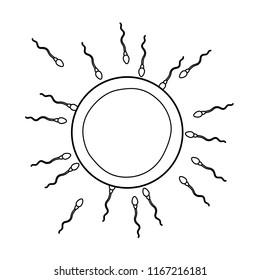 Ovum Images, Stock Photos & Vectors | Shutterstock