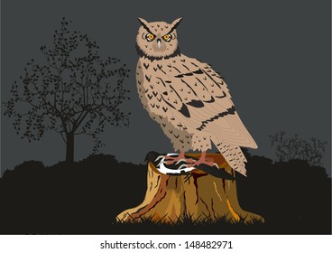 Owl