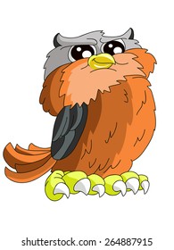 owl