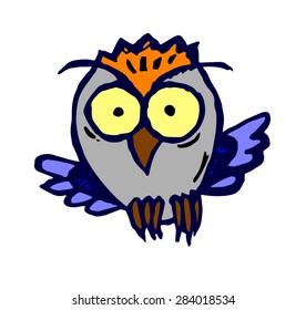 owl