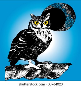 owl