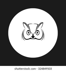 owl