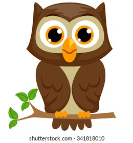 Owl 