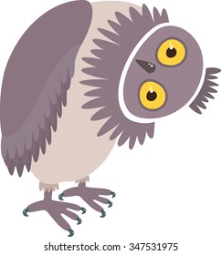 Owl 