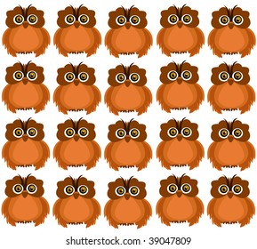 owl