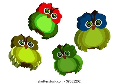owl