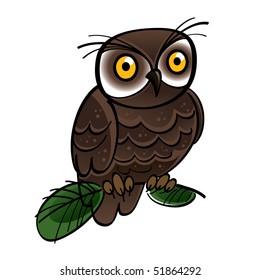 Owl