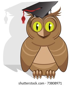 owl