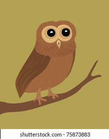 owl