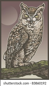 Owl