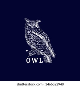 Owl abstract hand draw line vector