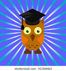 owl in an academic cap on a blue background with divergent rays