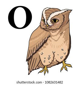 Owl - alphabet 