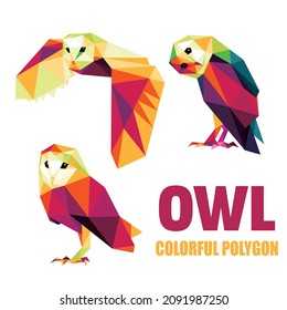 Owl Animal Set in Colorful Abstract. Owl in Colorful Polygonal low poly. Vector of Owl collection