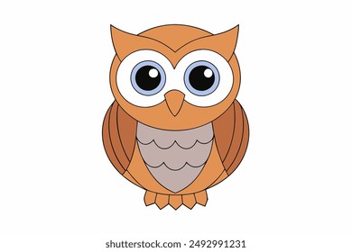 An Owl animal vector illustration