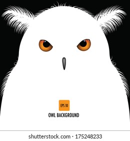 Owl background EPS 10 vector, grouped for easy editing. No open shapes or paths.