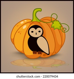 owl , banner and background for pumpkins for Halloween