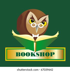owl and big book