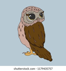Owl with big eyes