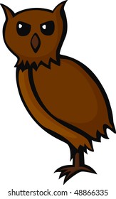 owl bird