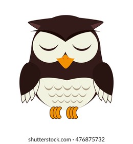 owl bird animal design