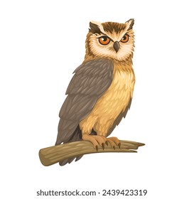 Owl Bird Animal illustration Vector