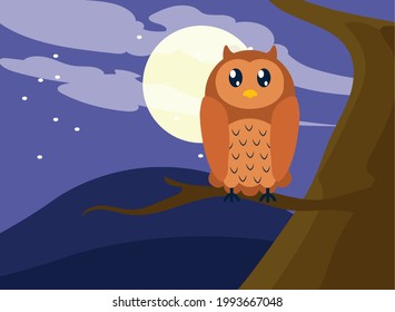 owl bird animal at night scene