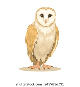 Owl Bird Animal Realistic Illustration Vector