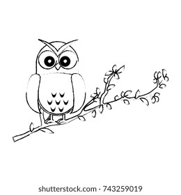 owl bird in branch