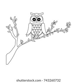 owl bird in branch