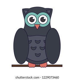 Owl bird cartoon