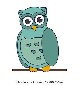 Owl bird cartoon
