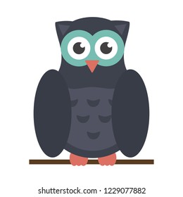 Owl bird cartoon
