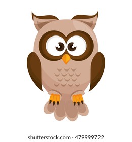 owl bird cartoon