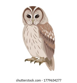 Owl bird cartoon vector illustration of icon. .Vector icon of animal owl. Isolated cartoon illustration of bird animal on white background.