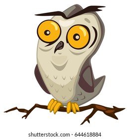 Owl bird cartoon vector illustration isolated on white background.