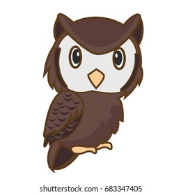 owl bird character cartoon vector illustration,owl bird,bird cartoon illustration